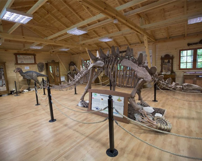 Muzeum skamieniałości w Malborku
